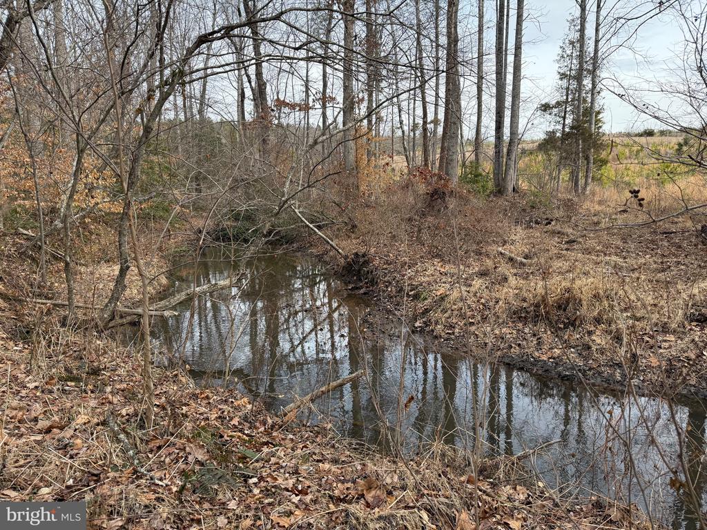 COMMUNITY HOUSE RD, Virginia 23084, ,Land,14,COMMUNITY HOUSE RD,VAFN2000702 MLS # VAFN2000702