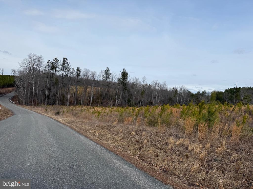 COMMUNITY HOUSE RD, Virginia 23084, ,Land,14,COMMUNITY HOUSE RD,VAFN2000702 MLS # VAFN2000702