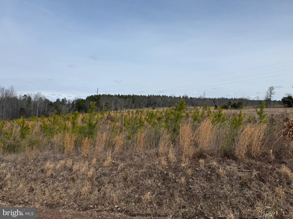 COMMUNITY HOUSE RD, Virginia 23084, ,Land,14,COMMUNITY HOUSE RD,VAFN2000702 MLS # VAFN2000702