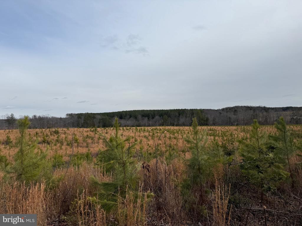 COMMUNITY HOUSE RD, Virginia 23084, ,Land,14,COMMUNITY HOUSE RD,VAFN2000702 MLS # VAFN2000702