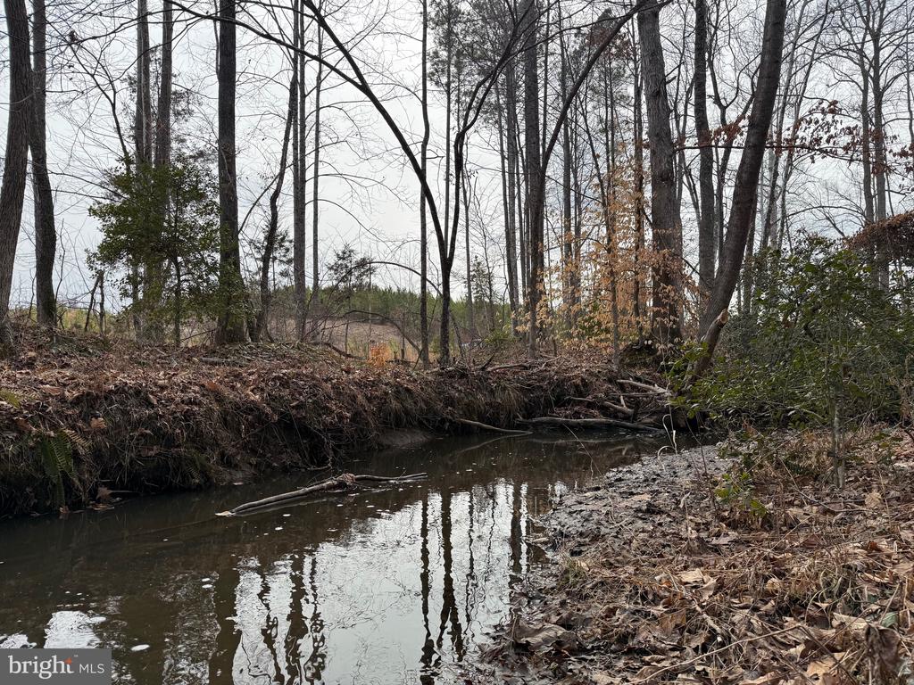 COMMUNITY HOUSE RD, Virginia 23084, ,Land,14,COMMUNITY HOUSE RD,VAFN2000702 MLS # VAFN2000702