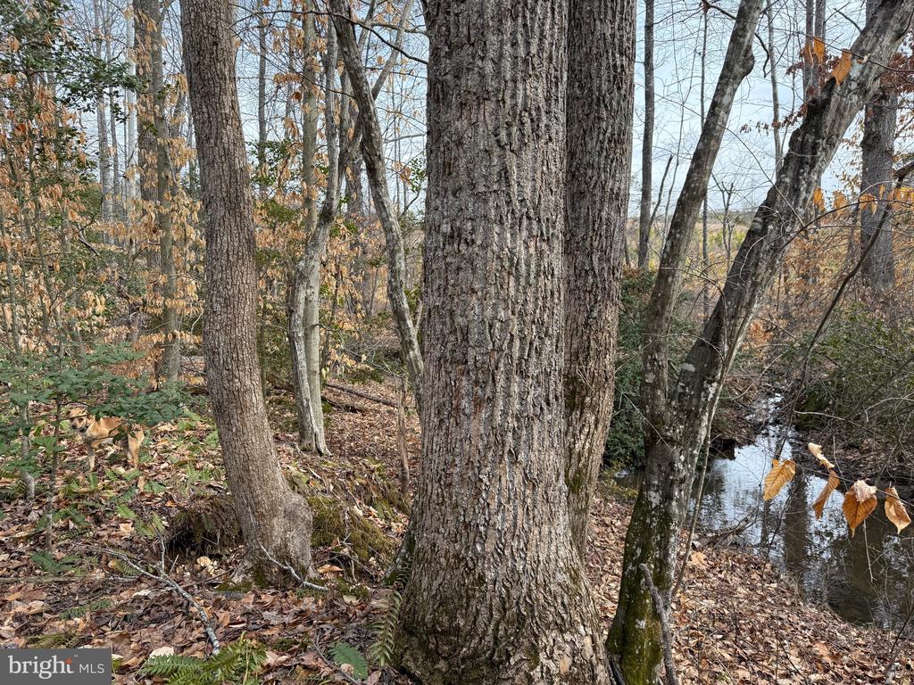 COMMUNITY HOUSE RD, Virginia 23084, ,Land,14,COMMUNITY HOUSE RD,VAFN2000702 MLS # VAFN2000702