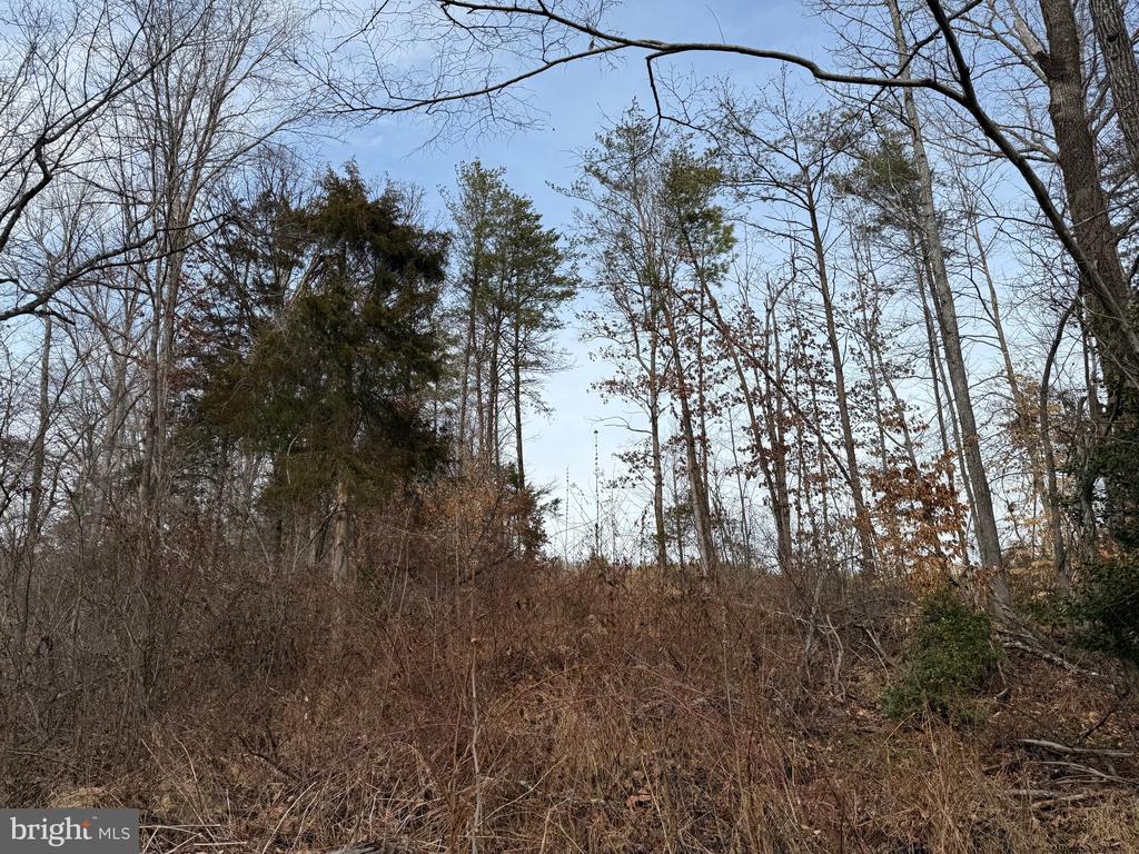 COMMUNITY HOUSE RD, Virginia 23084, ,Land,14,COMMUNITY HOUSE RD,VAFN2000702 MLS # VAFN2000702