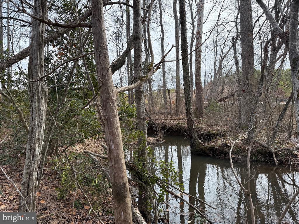 COMMUNITY HOUSE RD, Virginia 23084, ,Land,14,COMMUNITY HOUSE RD,VAFN2000702 MLS # VAFN2000702
