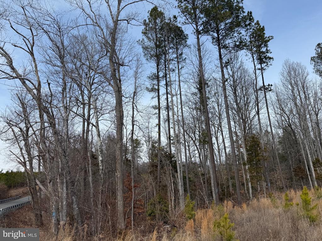 COMMUNITY HOUSE RD, Virginia 23084, ,Land,14,COMMUNITY HOUSE RD,VAFN2000702 MLS # VAFN2000702