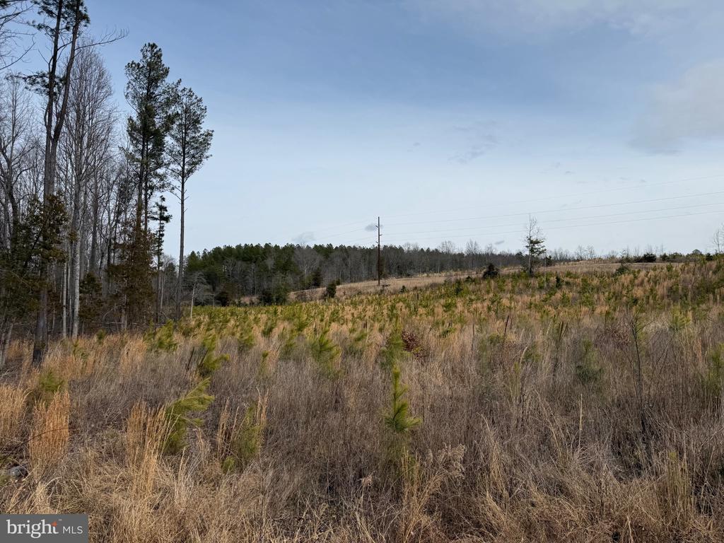 COMMUNITY HOUSE RD, Virginia 23084, ,Land,14,COMMUNITY HOUSE RD,VAFN2000702 MLS # VAFN2000702