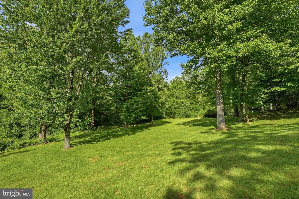 3665 CREELS LN, THE PLAINS, Virginia 20198, 6 Bedrooms Bedrooms, ,6 BathroomsBathrooms,Residential,14,3665 CREELS LN,VAFQ2021256 MLS # VAFQ2021256
