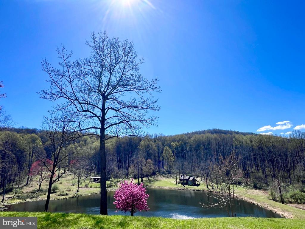 3665 CREELS LN, THE PLAINS, Virginia 20198, 6 Bedrooms Bedrooms, ,6 BathroomsBathrooms,Residential,14,3665 CREELS LN,VAFQ2021256 MLS # VAFQ2021256