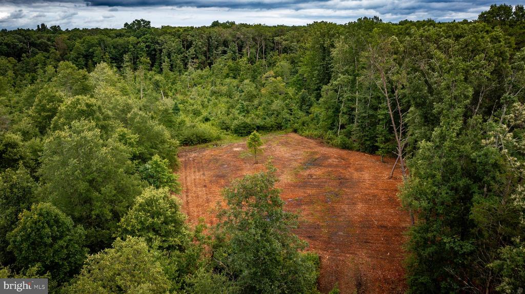 RITCHIE RD, MIDLAND, Virginia 22728, ,Land,14,RITCHIE RD,VAFQ2022610 MLS # VAFQ2022610