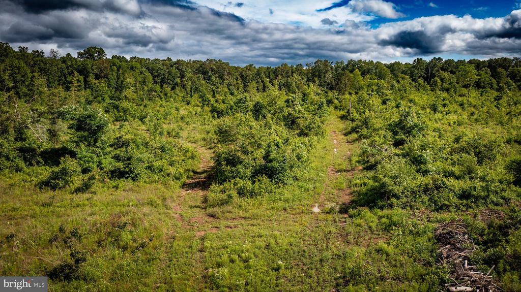 RITCHIE RD, MIDLAND, Virginia 22728, ,Land,14,RITCHIE RD,VAFQ2022610 MLS # VAFQ2022610