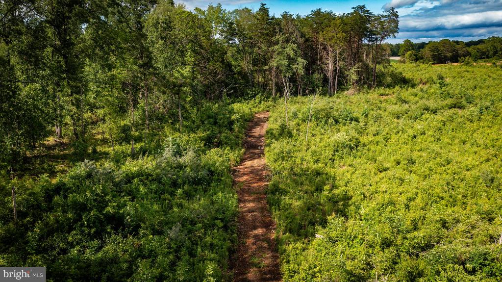 RITCHIE RD, MIDLAND, Virginia 22728, ,Land,14,RITCHIE RD,VAFQ2022610 MLS # VAFQ2022610