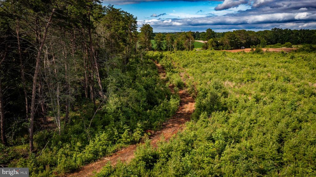 RITCHIE RD, MIDLAND, Virginia 22728, ,Land,14,RITCHIE RD,VAFQ2022610 MLS # VAFQ2022610