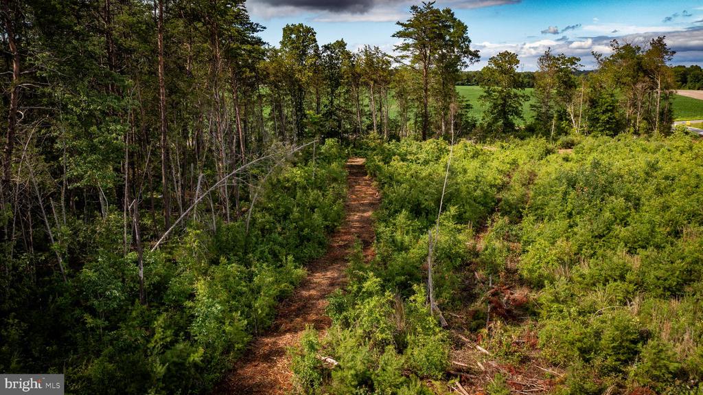 RITCHIE RD, MIDLAND, Virginia 22728, ,Land,14,RITCHIE RD,VAFQ2022610 MLS # VAFQ2022610