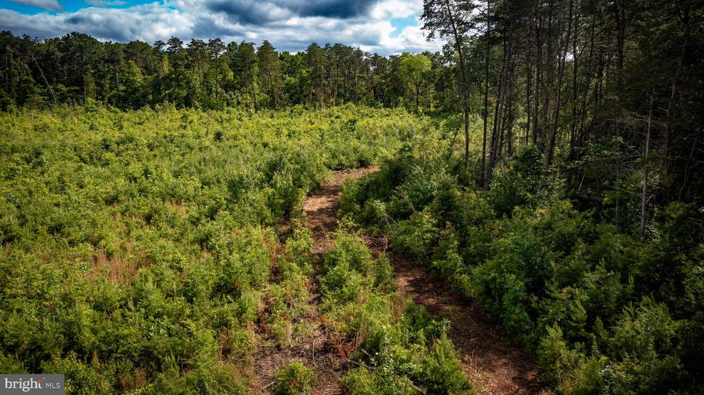 RITCHIE RD, MIDLAND, Virginia 22728, ,Land,14,RITCHIE RD,VAFQ2022610 MLS # VAFQ2022610