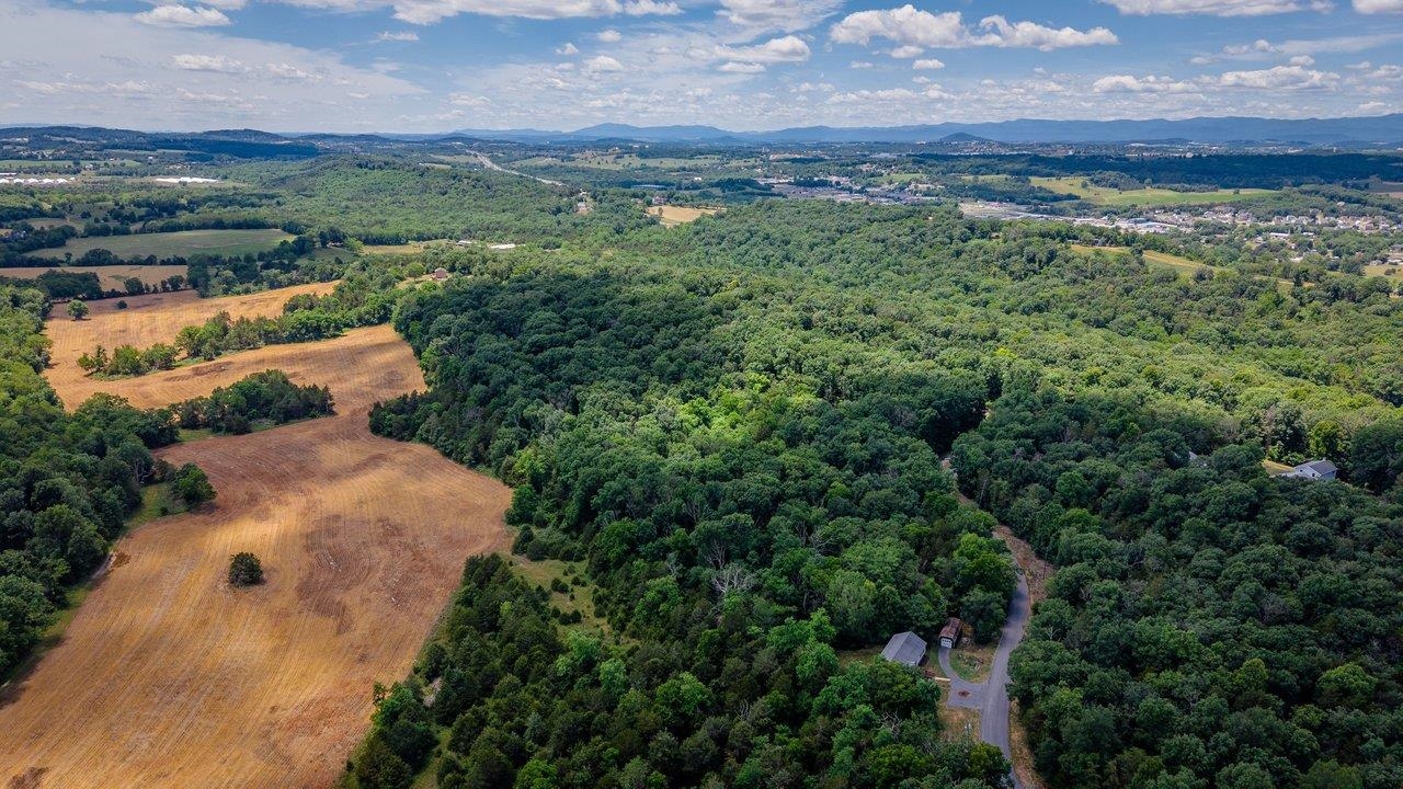 926 TRINITY CHURCH RD, ROCKINGHAM, Virginia 22802, 4 Bedrooms Bedrooms, ,3 BathroomsBathrooms,Residential,14,926 TRINITY CHURCH RD,678725 MLS # 678725