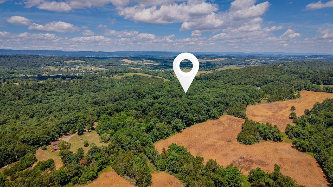 926 TRINITY CHURCH RD, ROCKINGHAM, Virginia 22802, 4 Bedrooms Bedrooms, ,3 BathroomsBathrooms,Residential,14,926 TRINITY CHURCH RD,678725 MLS # 678725