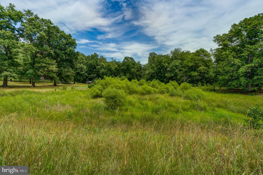 8858 POINDEXTER RD, LOUISA, Virginia 23093, 3 Bedrooms Bedrooms, ,3 BathroomsBathrooms,Residential,14,8858 POINDEXTER RD,VALA2010124 MLS # VALA2010124
