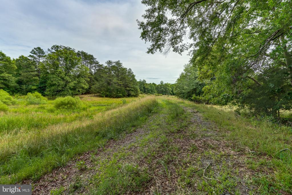 8858 POINDEXTER RD, LOUISA, Virginia 23093, 3 Bedrooms Bedrooms, ,3 BathroomsBathrooms,Residential,14,8858 POINDEXTER RD,VALA2010124 MLS # VALA2010124