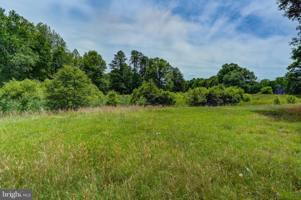 8858 POINDEXTER RD, LOUISA, Virginia 23093, 3 Bedrooms Bedrooms, ,3 BathroomsBathrooms,Residential,14,8858 POINDEXTER RD,VALA2010124 MLS # VALA2010124