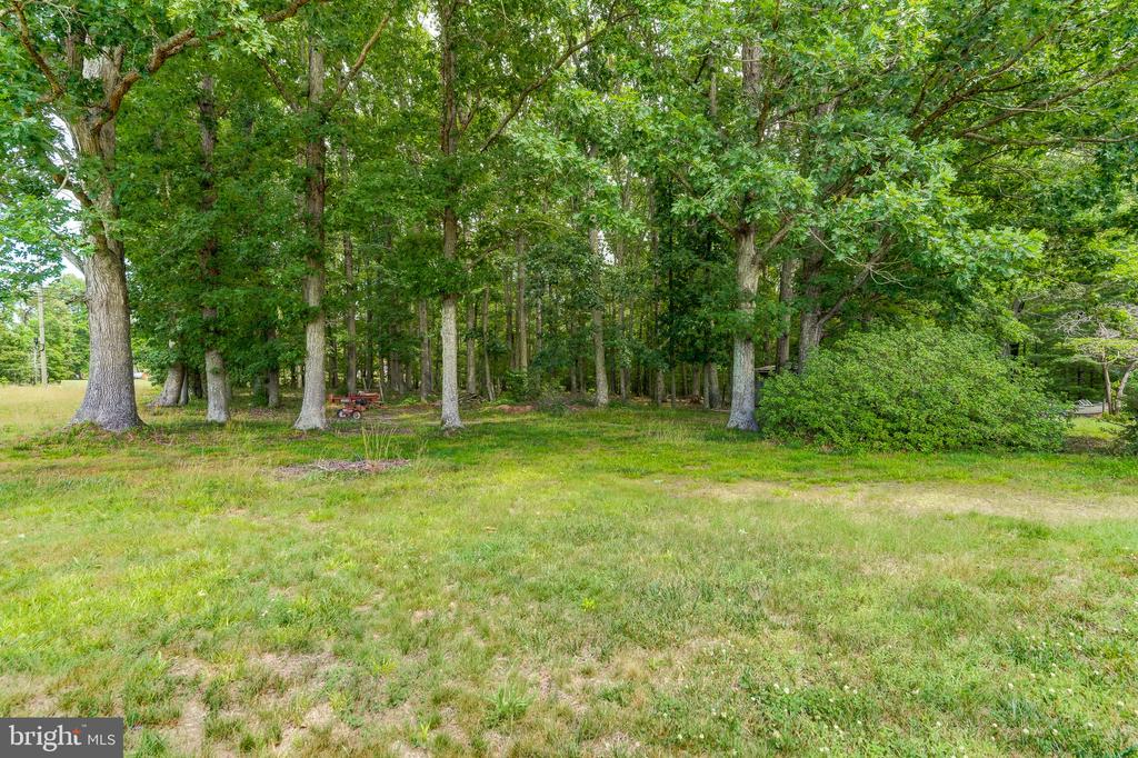 8858 POINDEXTER RD, LOUISA, Virginia 23093, 3 Bedrooms Bedrooms, ,3 BathroomsBathrooms,Residential,14,8858 POINDEXTER RD,VALA2010124 MLS # VALA2010124