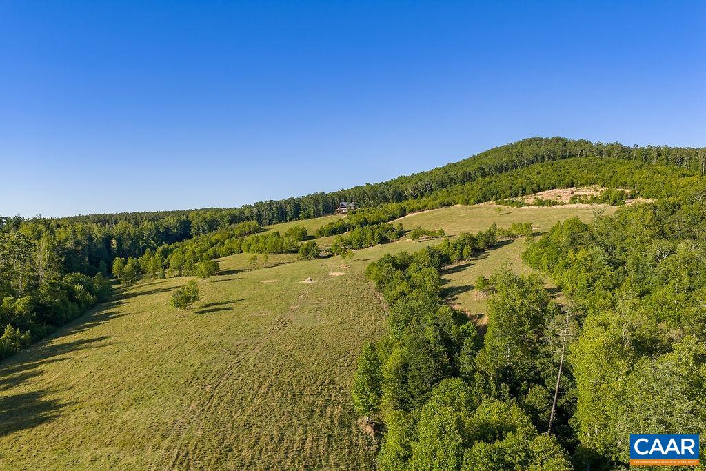 695 LAUREL RD, FABER, Virginia 22938, ,Farm,14,695 LAUREL RD,679017 MLS # 679017 695 LAUREL RD, FABER, Virginia 22938, ,Farm,14,695 LAUREL RD,679017 MLS # 679017