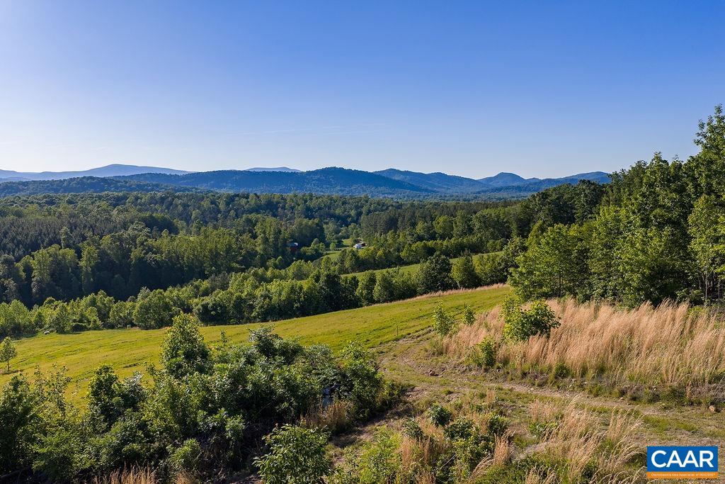 695 LAUREL RD, FABER, Virginia 22938, ,Farm,14,695 LAUREL RD,679017 MLS # 679017 695 LAUREL RD, FABER, Virginia 22938, ,Farm,14,695 LAUREL RD,679017 MLS # 679017