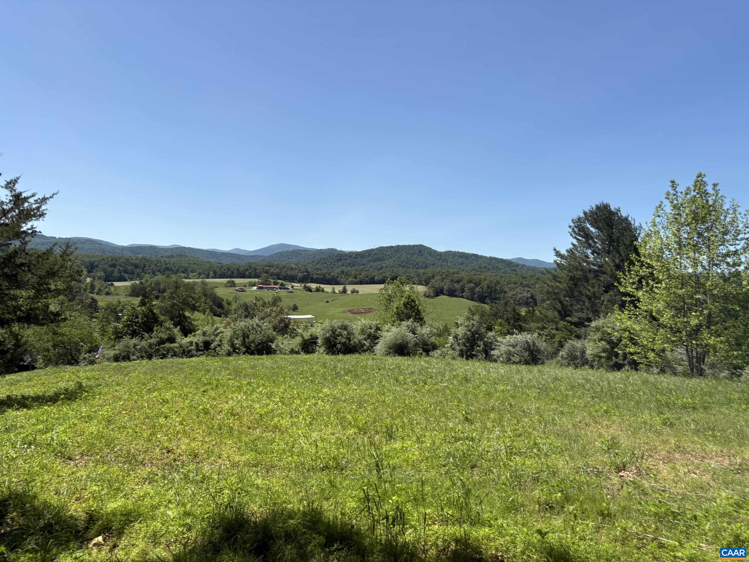TM 39-31&33b THRIFT RD, MADISON, Virginia 22727, ,Land,14,TM 39-31&33b THRIFT RD,679096 MLS # 679096 TM 39-31&33b THRIFT RD, MADISON, Virginia 22727, ,Land,14,TM 39-31&33b THRIFT RD,679096 MLS # 679096