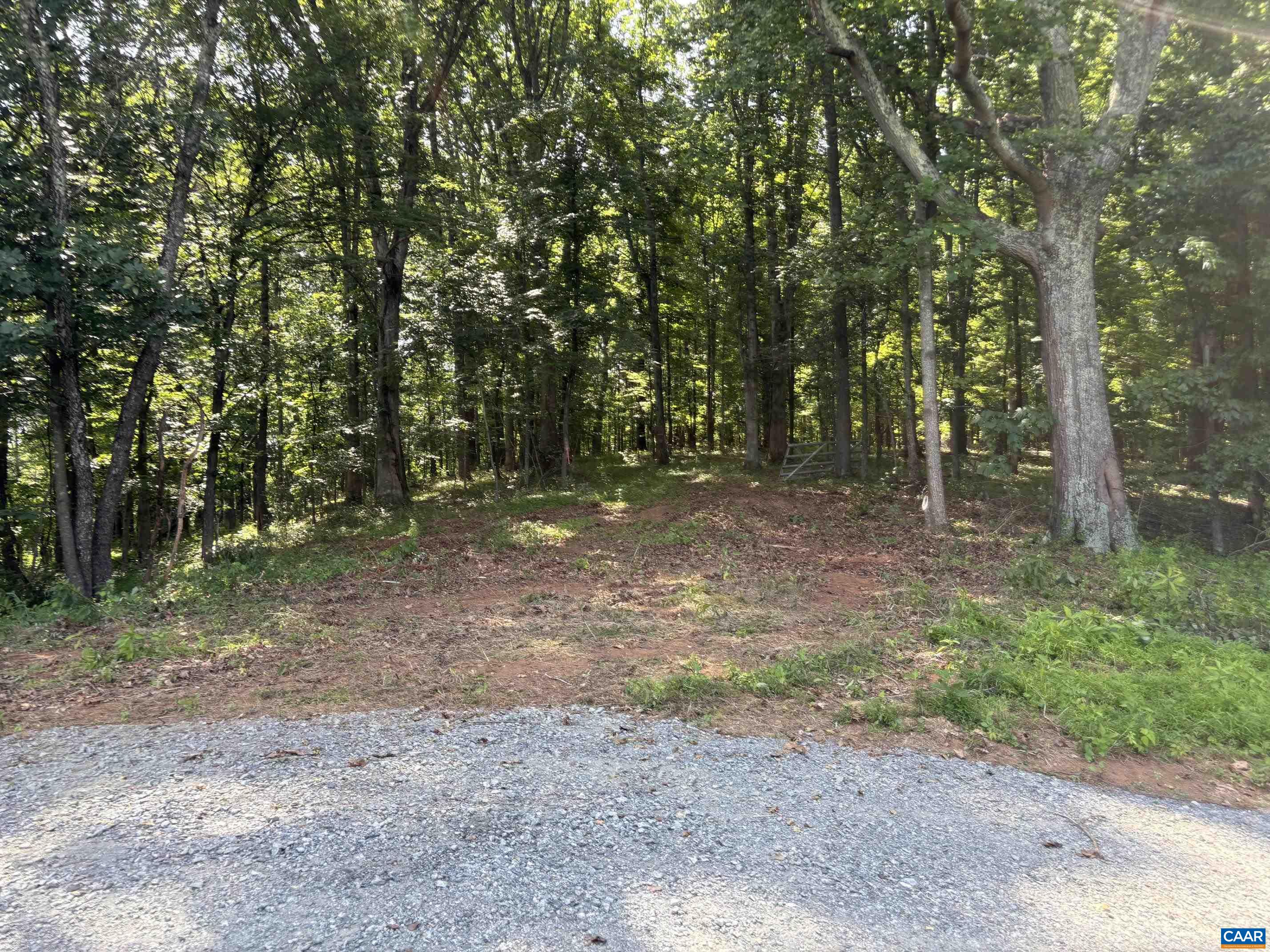 TM 39-31&33b THRIFT RD, MADISON, Virginia 22727, ,Land,14,TM 39-31&33b THRIFT RD,679096 MLS # 679096 TM 39-31&33b THRIFT RD, MADISON, Virginia 22727, ,Land,14,TM 39-31&33b THRIFT RD,679096 MLS # 679096