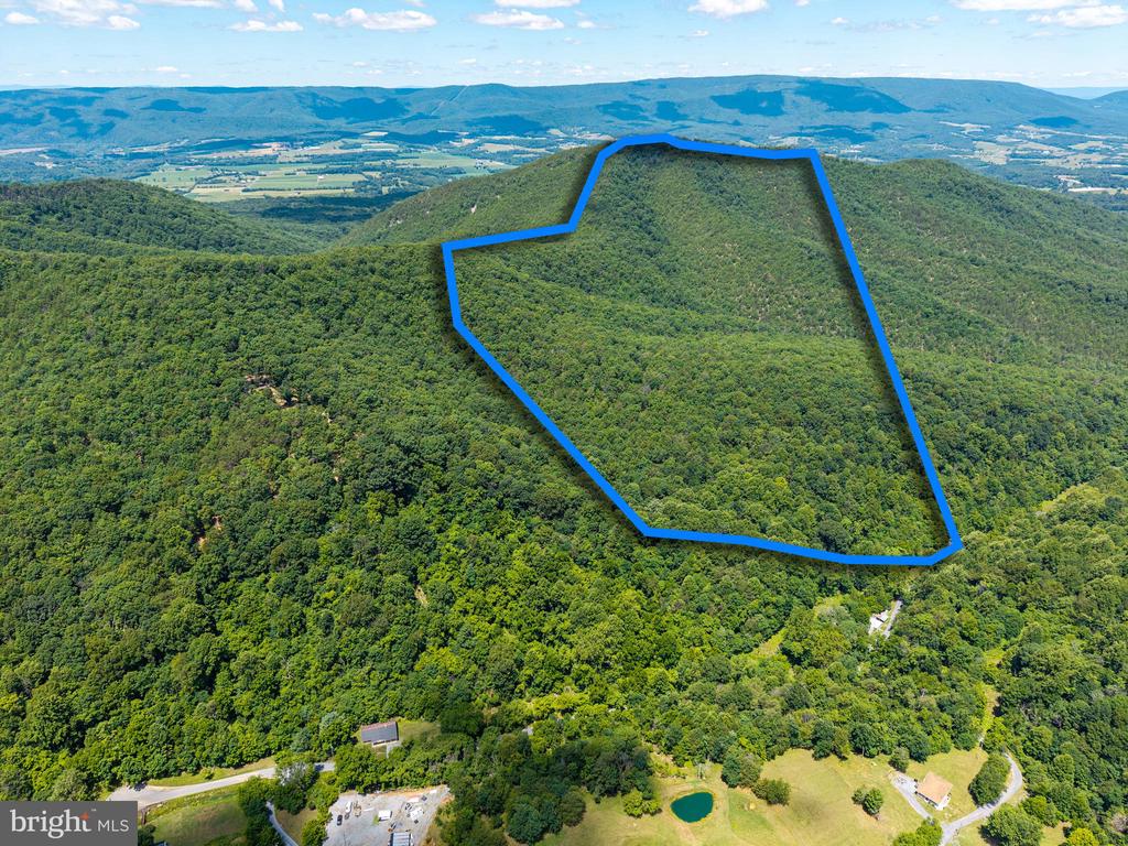 0 DOVEL HOLLOW RD, STANLEY, Virginia 22851, ,Farm,14,0 DOVEL HOLLOW RD,VAPA2006592 MLS # VAPA2006592 0 DOVEL HOLLOW RD, STANLEY, Virginia 22851, ,Farm,14,0 DOVEL HOLLOW RD,VAPA2006592 MLS # VAPA2006592