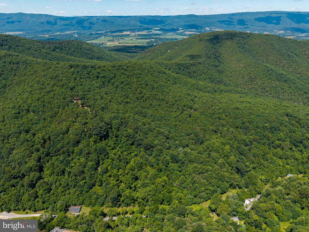 0 DOVEL HOLLOW RD, STANLEY, Virginia 22851, ,Farm,14,0 DOVEL HOLLOW RD,VAPA2006592 MLS # VAPA2006592 0 DOVEL HOLLOW RD, STANLEY, Virginia 22851, ,Farm,14,0 DOVEL HOLLOW RD,VAPA2006592 MLS # VAPA2006592