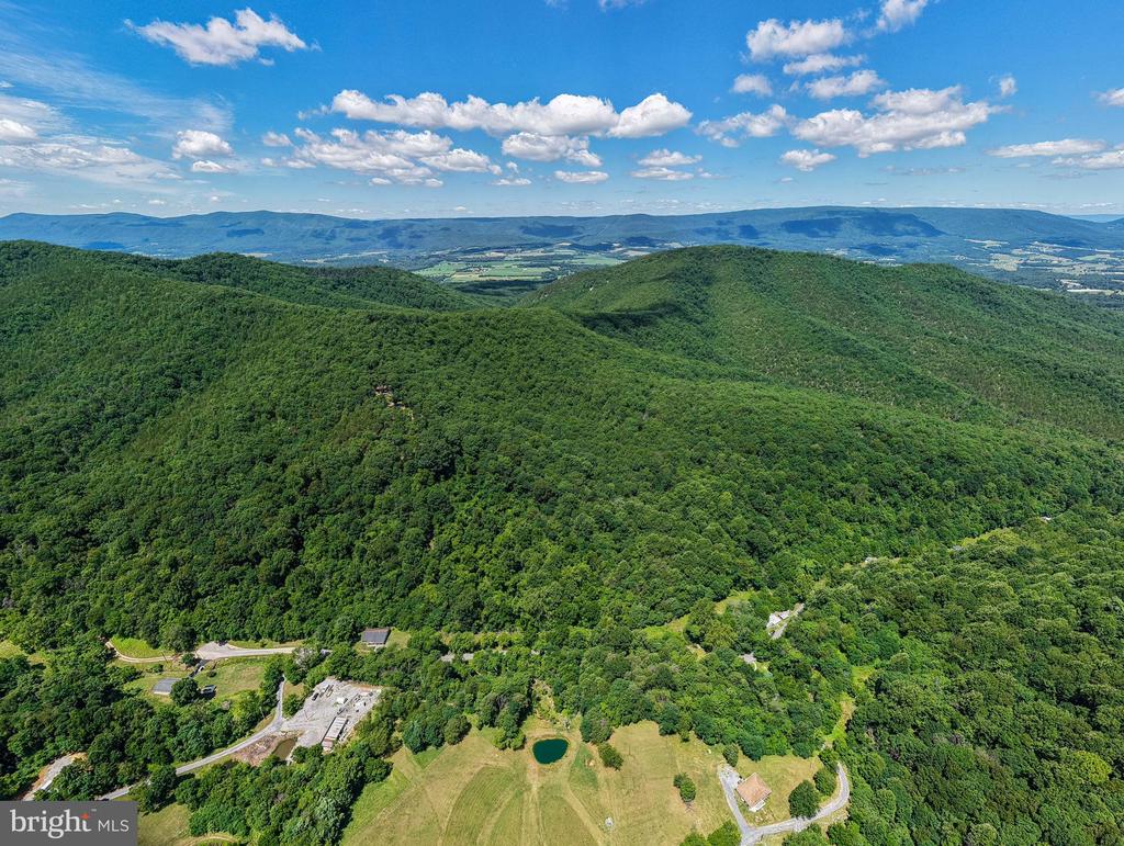 0 DOVEL HOLLOW RD, STANLEY, Virginia 22851, ,Farm,14,0 DOVEL HOLLOW RD,VAPA2006592 MLS # VAPA2006592 0 DOVEL HOLLOW RD, STANLEY, Virginia 22851, ,Farm,14,0 DOVEL HOLLOW RD,VAPA2006592 MLS # VAPA2006592