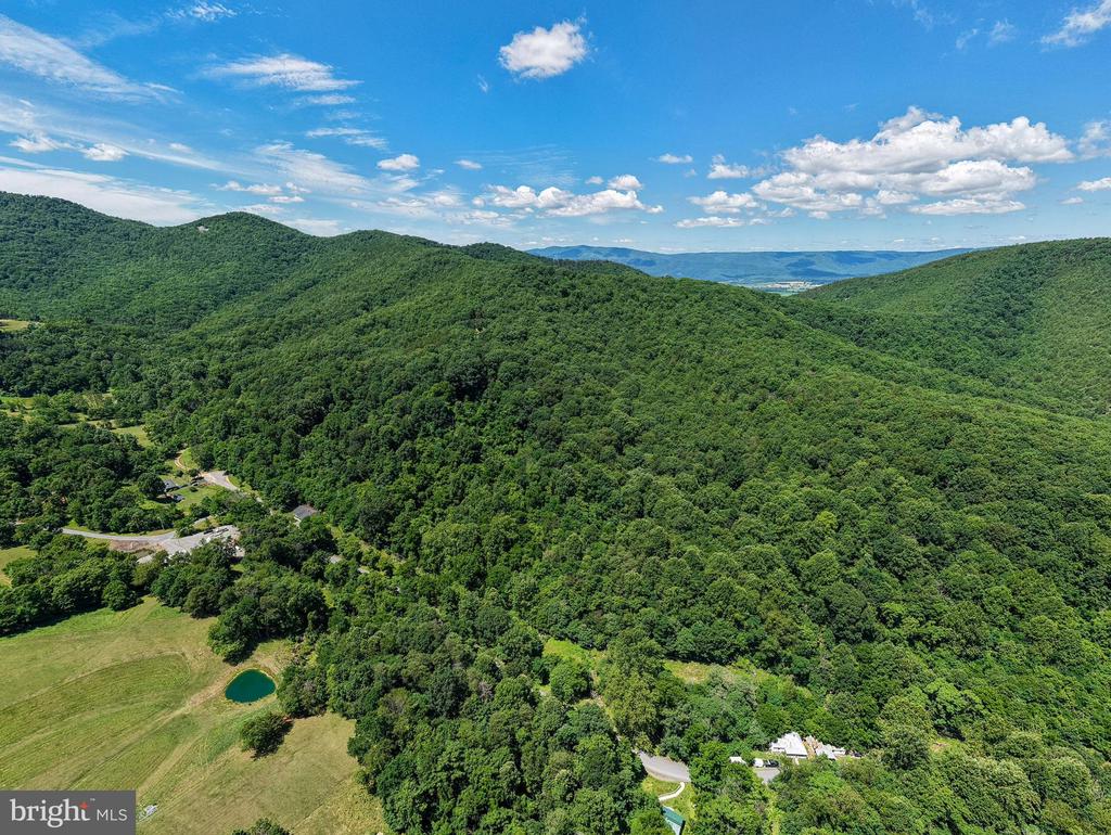 0 DOVEL HOLLOW RD, STANLEY, Virginia 22851, ,Farm,14,0 DOVEL HOLLOW RD,VAPA2006592 MLS # VAPA2006592 0 DOVEL HOLLOW RD, STANLEY, Virginia 22851, ,Farm,14,0 DOVEL HOLLOW RD,VAPA2006592 MLS # VAPA2006592