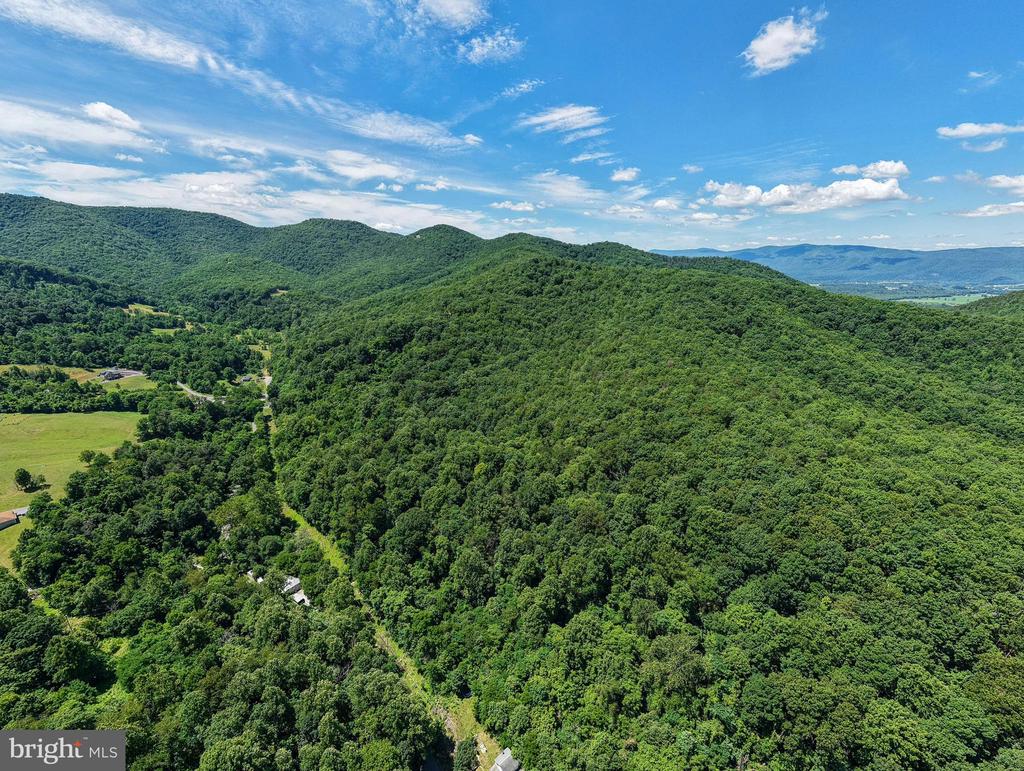 0 DOVEL HOLLOW RD, STANLEY, Virginia 22851, ,Farm,14,0 DOVEL HOLLOW RD,VAPA2006592 MLS # VAPA2006592 0 DOVEL HOLLOW RD, STANLEY, Virginia 22851, ,Farm,14,0 DOVEL HOLLOW RD,VAPA2006592 MLS # VAPA2006592