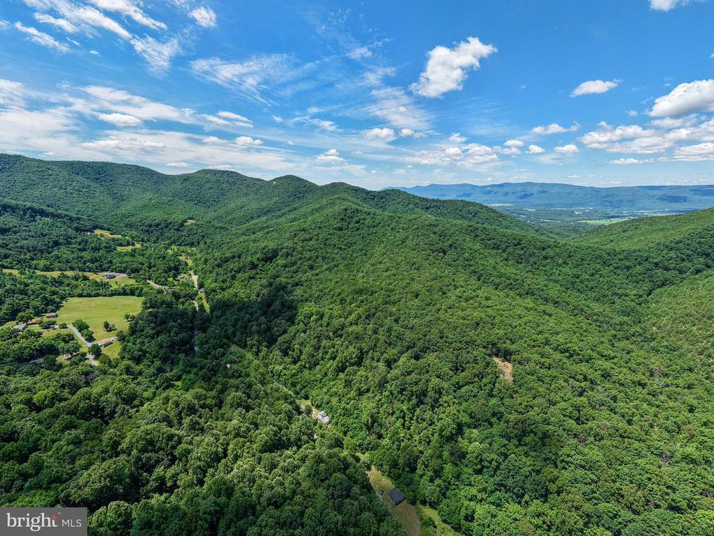 0 DOVEL HOLLOW RD, STANLEY, Virginia 22851, ,Farm,14,0 DOVEL HOLLOW RD,VAPA2006592 MLS # VAPA2006592 0 DOVEL HOLLOW RD, STANLEY, Virginia 22851, ,Farm,14,0 DOVEL HOLLOW RD,VAPA2006592 MLS # VAPA2006592