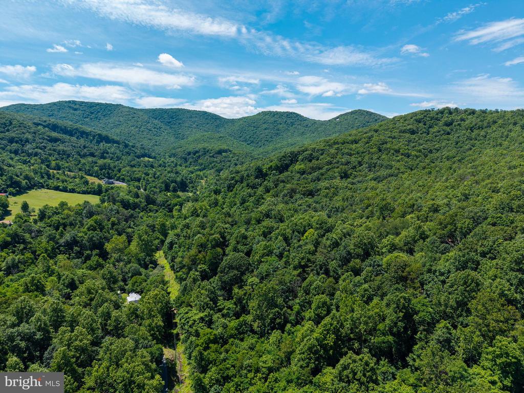 0 DOVEL HOLLOW RD, STANLEY, Virginia 22851, ,Farm,14,0 DOVEL HOLLOW RD,VAPA2006592 MLS # VAPA2006592 0 DOVEL HOLLOW RD, STANLEY, Virginia 22851, ,Farm,14,0 DOVEL HOLLOW RD,VAPA2006592 MLS # VAPA2006592