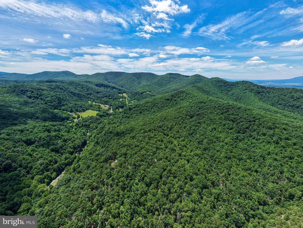 0 DOVEL HOLLOW RD, STANLEY, Virginia 22851, ,Farm,14,0 DOVEL HOLLOW RD,VAPA2006592 MLS # VAPA2006592 0 DOVEL HOLLOW RD, STANLEY, Virginia 22851, ,Farm,14,0 DOVEL HOLLOW RD,VAPA2006592 MLS # VAPA2006592