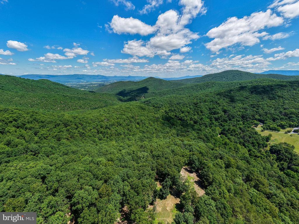 0 DOVEL HOLLOW RD, STANLEY, Virginia 22851, ,Farm,14,0 DOVEL HOLLOW RD,VAPA2006592 MLS # VAPA2006592 0 DOVEL HOLLOW RD, STANLEY, Virginia 22851, ,Farm,14,0 DOVEL HOLLOW RD,VAPA2006592 MLS # VAPA2006592