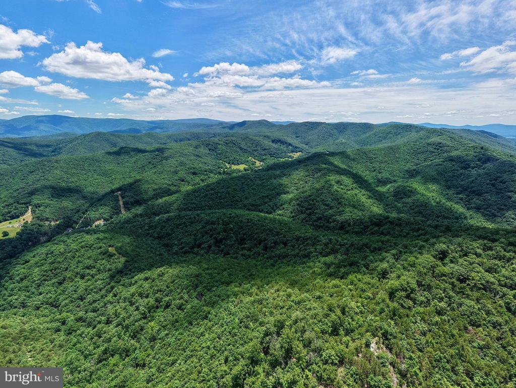 0 DOVEL HOLLOW RD, STANLEY, Virginia 22851, ,Farm,14,0 DOVEL HOLLOW RD,VAPA2006592 MLS # VAPA2006592 0 DOVEL HOLLOW RD, STANLEY, Virginia 22851, ,Farm,14,0 DOVEL HOLLOW RD,VAPA2006592 MLS # VAPA2006592