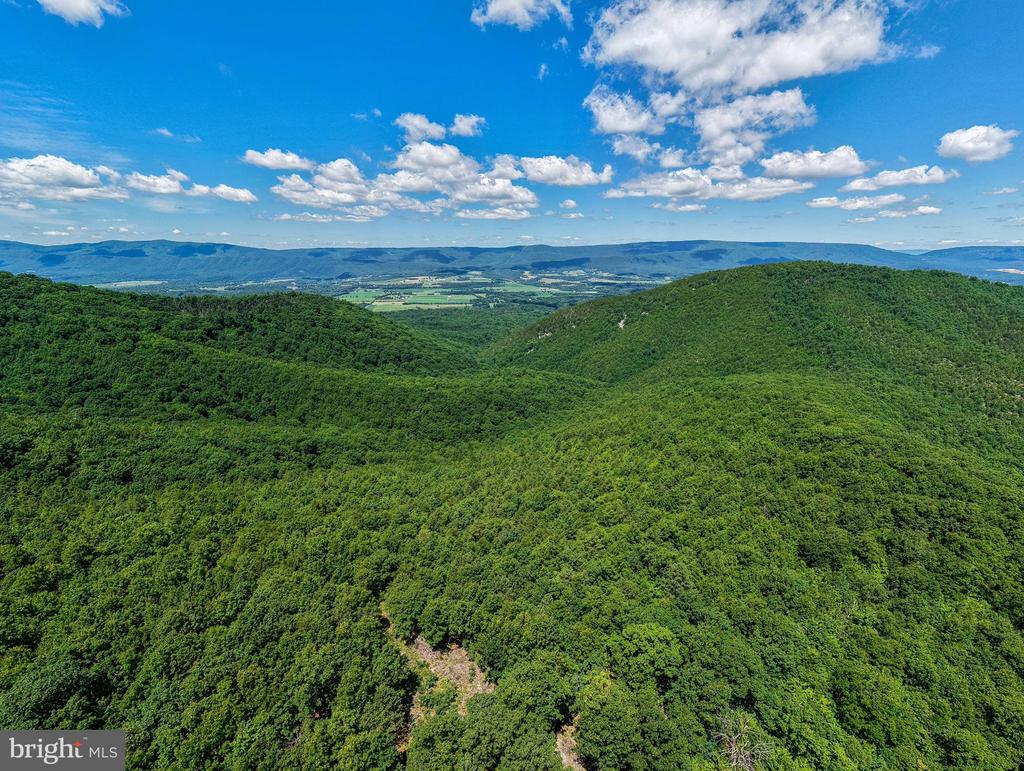 0 DOVEL HOLLOW RD, STANLEY, Virginia 22851, ,Farm,14,0 DOVEL HOLLOW RD,VAPA2006592 MLS # VAPA2006592 0 DOVEL HOLLOW RD, STANLEY, Virginia 22851, ,Farm,14,0 DOVEL HOLLOW RD,VAPA2006592 MLS # VAPA2006592