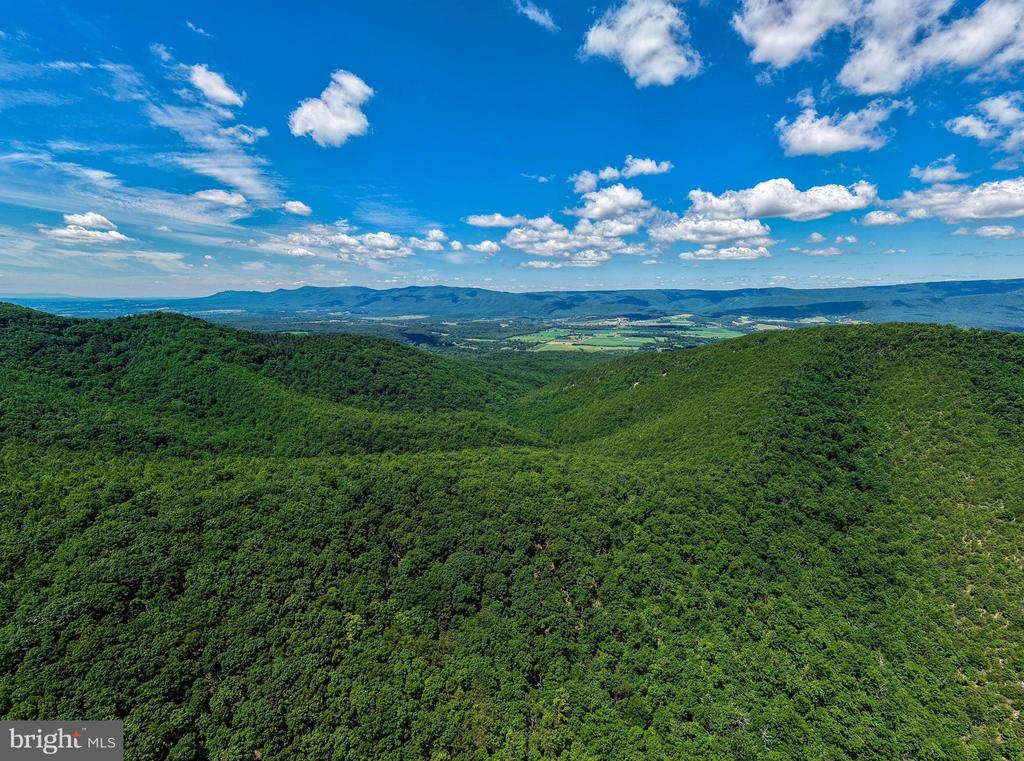 0 DOVEL HOLLOW RD, STANLEY, Virginia 22851, ,Farm,14,0 DOVEL HOLLOW RD,VAPA2006592 MLS # VAPA2006592 0 DOVEL HOLLOW RD, STANLEY, Virginia 22851, ,Farm,14,0 DOVEL HOLLOW RD,VAPA2006592 MLS # VAPA2006592