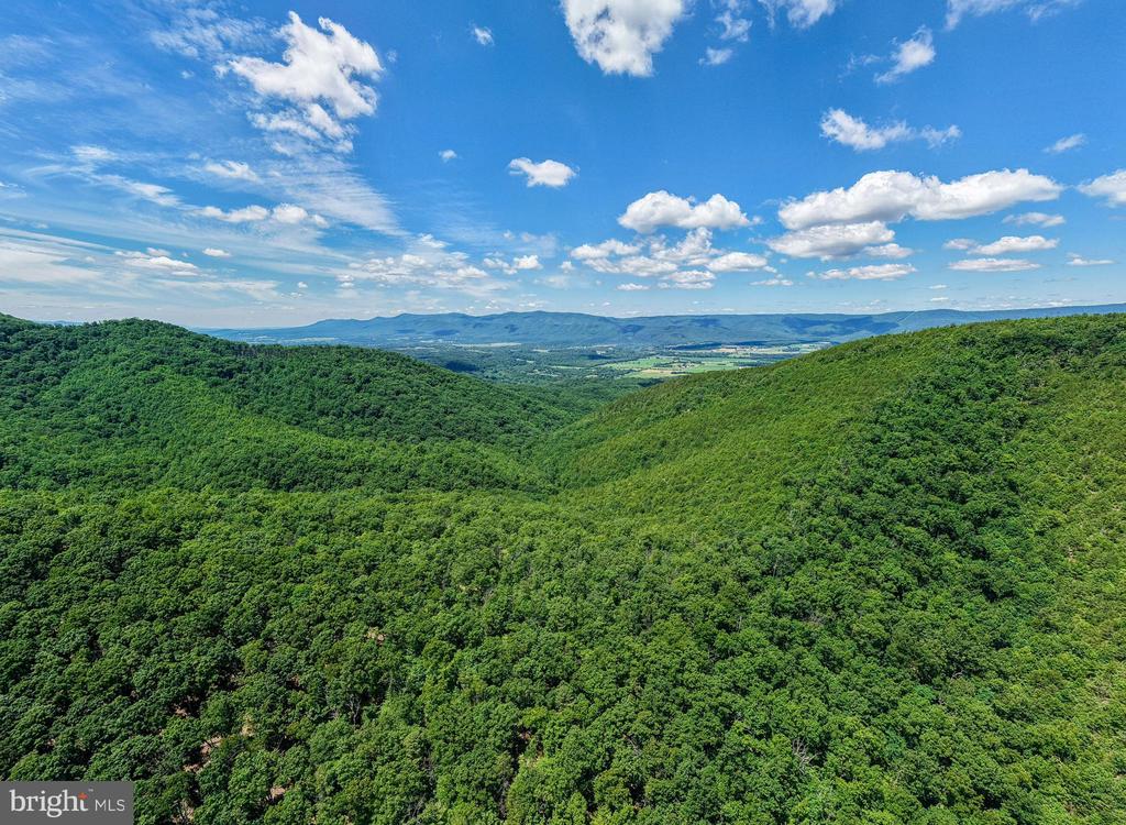 0 DOVEL HOLLOW RD, STANLEY, Virginia 22851, ,Farm,14,0 DOVEL HOLLOW RD,VAPA2006592 MLS # VAPA2006592 0 DOVEL HOLLOW RD, STANLEY, Virginia 22851, ,Farm,14,0 DOVEL HOLLOW RD,VAPA2006592 MLS # VAPA2006592