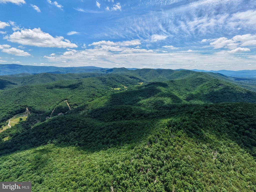 0 DOVEL HOLLOW RD, STANLEY, Virginia 22851, ,Farm,14,0 DOVEL HOLLOW RD,VAPA2006592 MLS # VAPA2006592 0 DOVEL HOLLOW RD, STANLEY, Virginia 22851, ,Farm,14,0 DOVEL HOLLOW RD,VAPA2006592 MLS # VAPA2006592