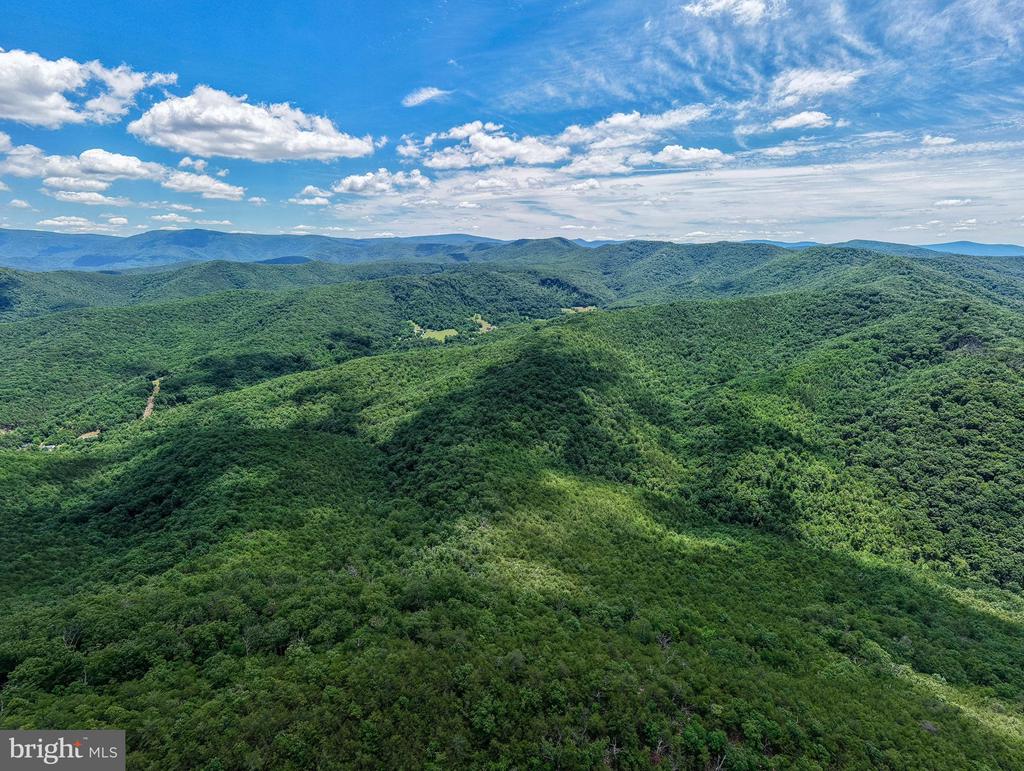 0 DOVEL HOLLOW RD, STANLEY, Virginia 22851, ,Farm,14,0 DOVEL HOLLOW RD,VAPA2006592 MLS # VAPA2006592 0 DOVEL HOLLOW RD, STANLEY, Virginia 22851, ,Farm,14,0 DOVEL HOLLOW RD,VAPA2006592 MLS # VAPA2006592