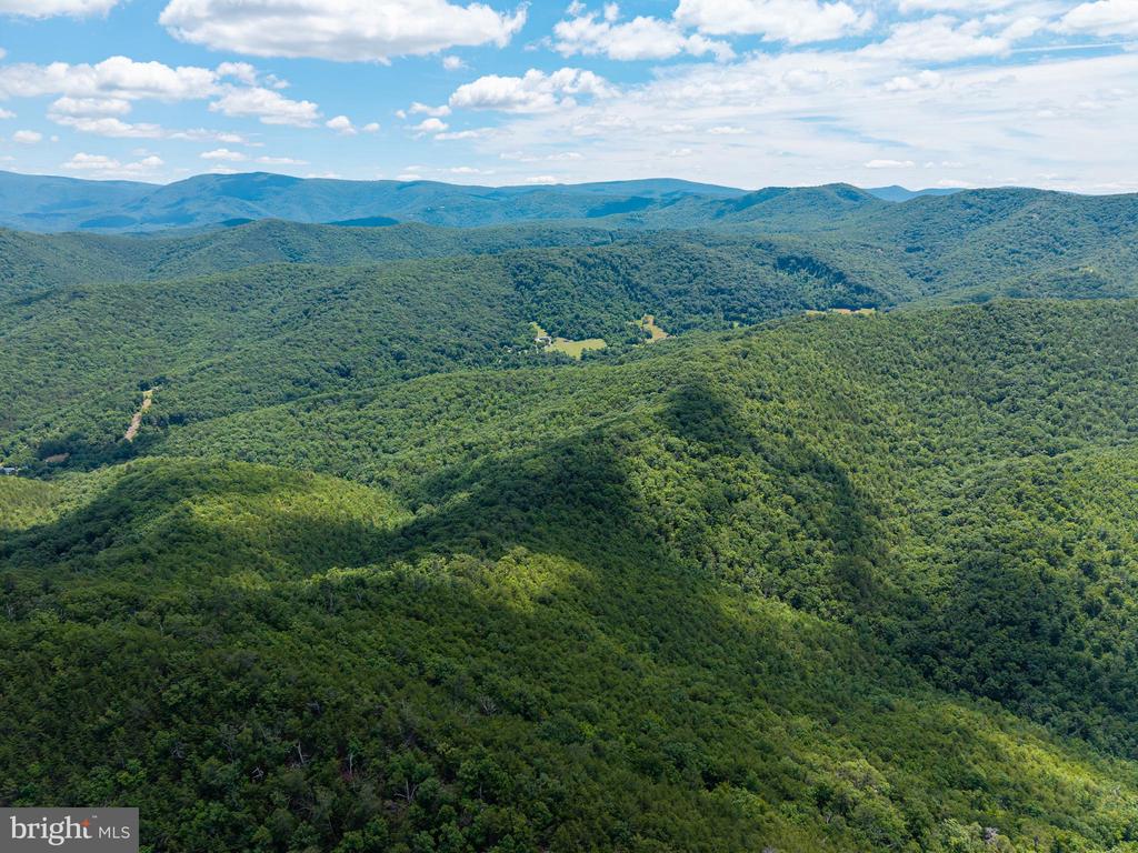 0 DOVEL HOLLOW RD, STANLEY, Virginia 22851, ,Farm,14,0 DOVEL HOLLOW RD,VAPA2006592 MLS # VAPA2006592 0 DOVEL HOLLOW RD, STANLEY, Virginia 22851, ,Farm,14,0 DOVEL HOLLOW RD,VAPA2006592 MLS # VAPA2006592