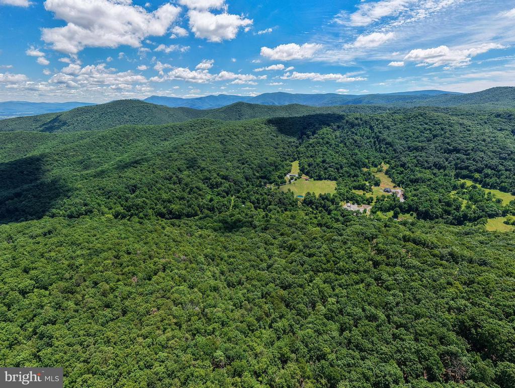 0 DOVEL HOLLOW RD, STANLEY, Virginia 22851, ,Farm,14,0 DOVEL HOLLOW RD,VAPA2006592 MLS # VAPA2006592 0 DOVEL HOLLOW RD, STANLEY, Virginia 22851, ,Farm,14,0 DOVEL HOLLOW RD,VAPA2006592 MLS # VAPA2006592