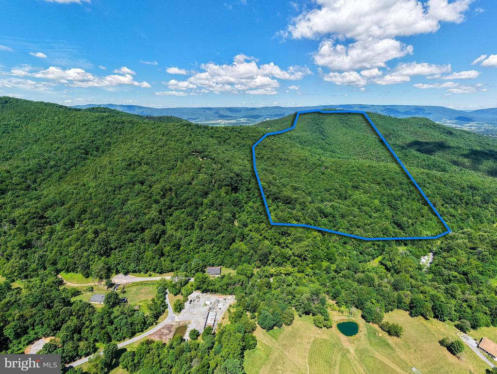 0 DOVEL HOLLOW RD, STANLEY, Virginia 22851, ,Farm,14,0 DOVEL HOLLOW RD,VAPA2006592 MLS # VAPA2006592 0 DOVEL HOLLOW RD, STANLEY, Virginia 22851, ,Farm,14,0 DOVEL HOLLOW RD,VAPA2006592 MLS # VAPA2006592