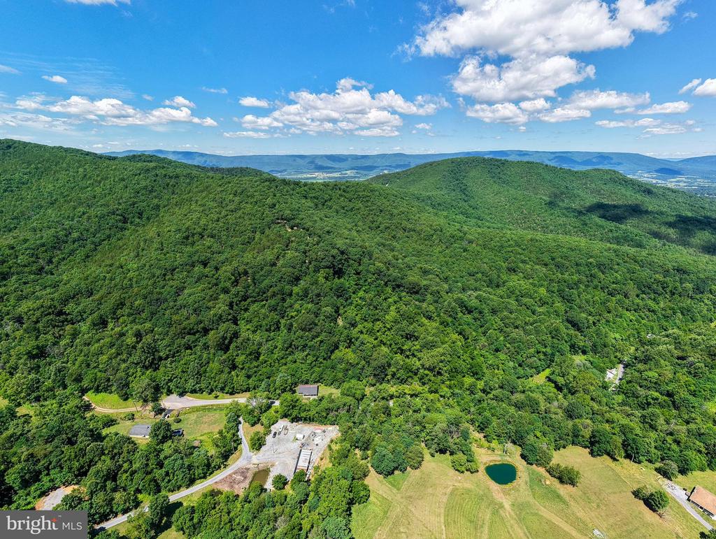 0 DOVEL HOLLOW RD, STANLEY, Virginia 22851, ,Farm,14,0 DOVEL HOLLOW RD,VAPA2006592 MLS # VAPA2006592 0 DOVEL HOLLOW RD, STANLEY, Virginia 22851, ,Farm,14,0 DOVEL HOLLOW RD,VAPA2006592 MLS # VAPA2006592