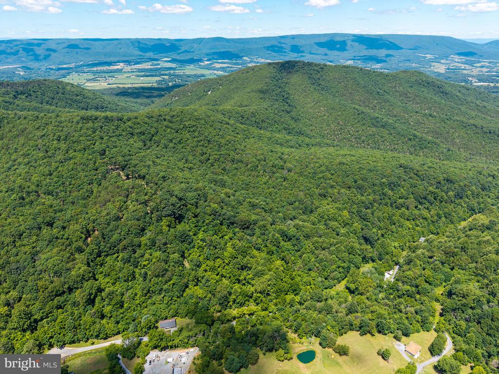 0 DOVEL HOLLOW RD, STANLEY, Virginia 22851, ,Farm,14,0 DOVEL HOLLOW RD,VAPA2006592 MLS # VAPA2006592 0 DOVEL HOLLOW RD, STANLEY, Virginia 22851, ,Farm,14,0 DOVEL HOLLOW RD,VAPA2006592 MLS # VAPA2006592