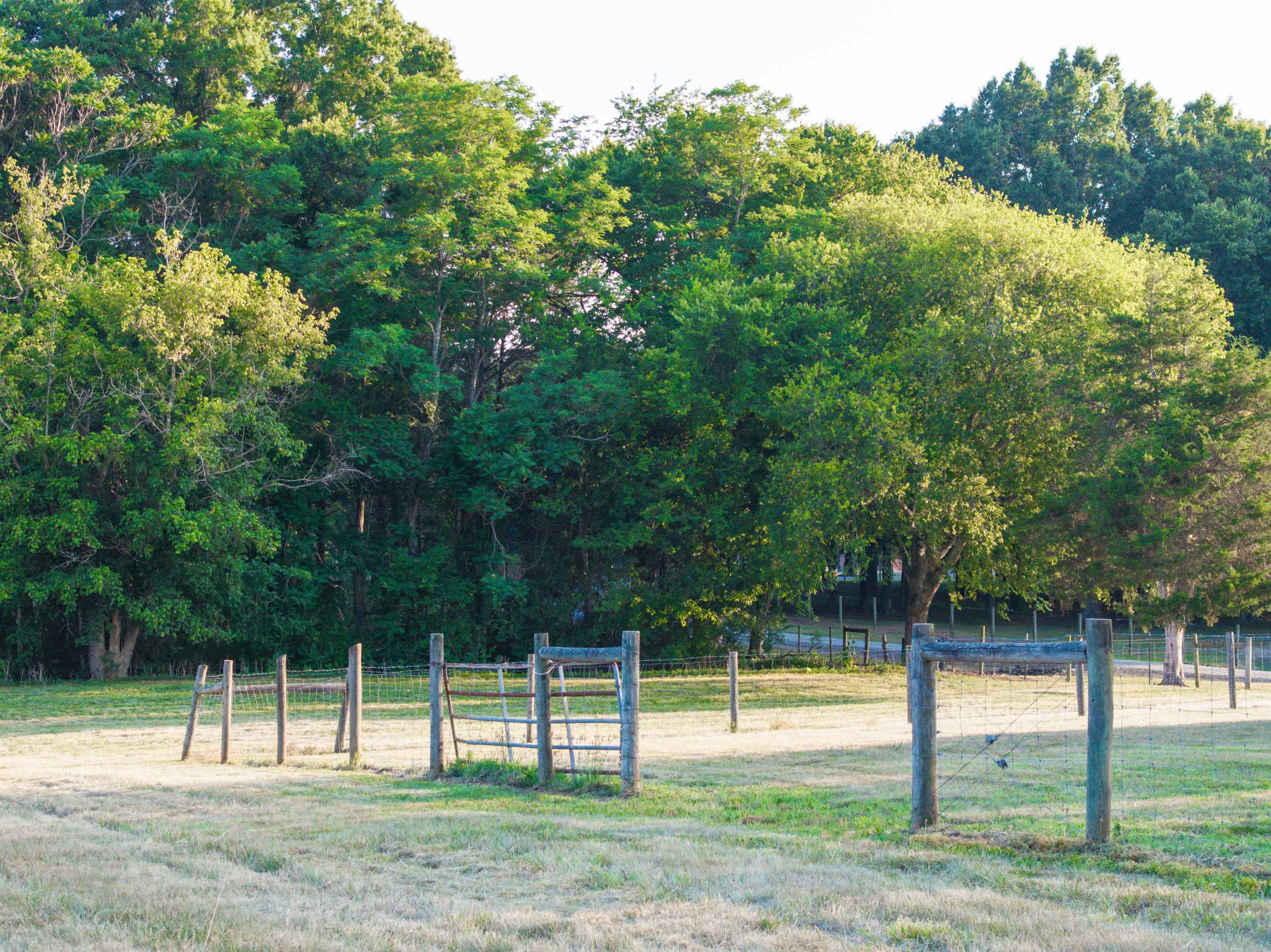 TBD BRIDGEPORT RD, ARVONIA, Virginia 23004, ,Land,14,TBD BRIDGEPORT RD,679306 MLS # 679306 TBD BRIDGEPORT RD, ARVONIA, Virginia 23004, ,Land,14,TBD BRIDGEPORT RD,679306 MLS # 679306