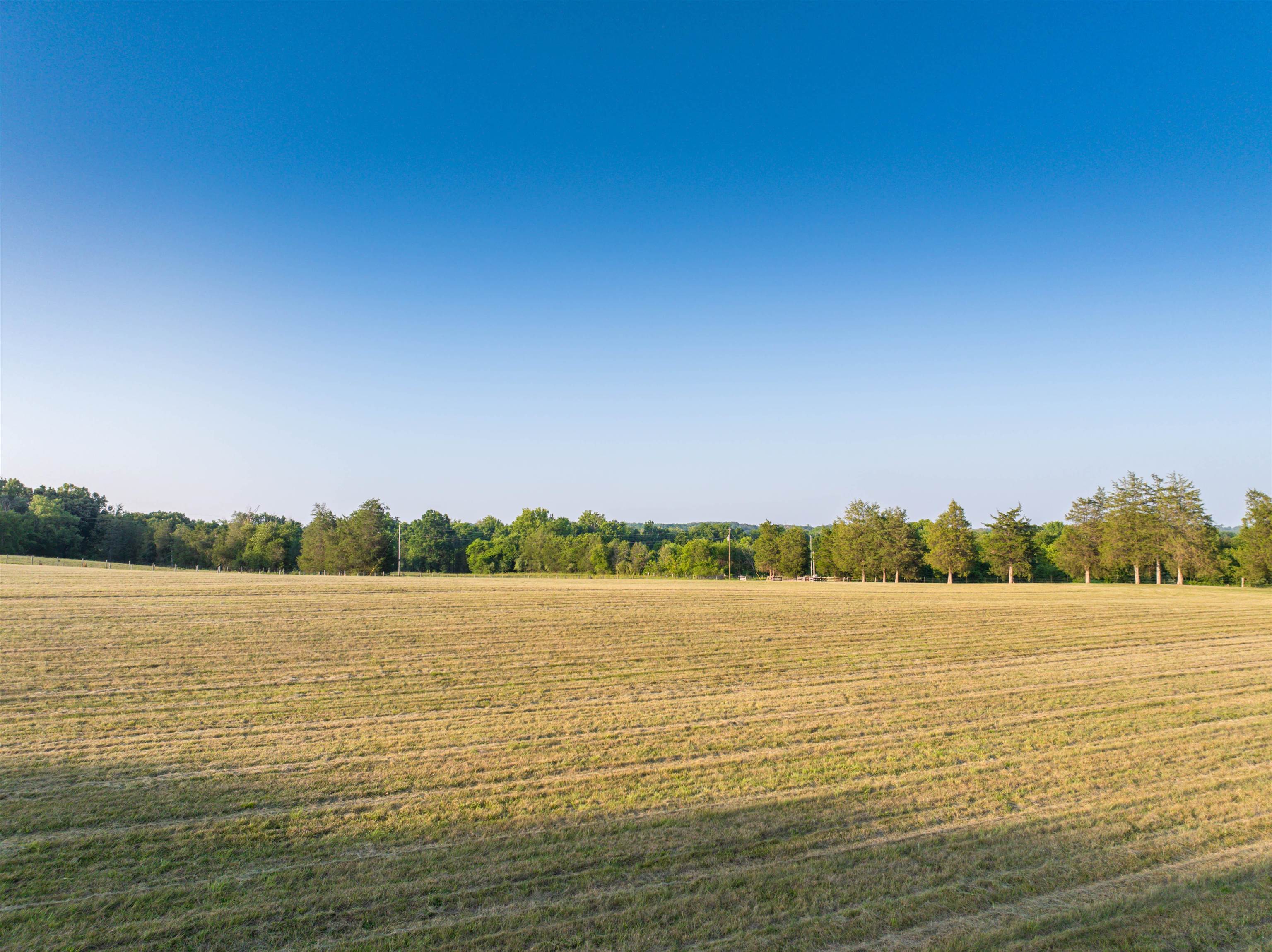 TBD BRIDGEPORT RD, ARVONIA, Virginia 23004, ,Land,14,TBD BRIDGEPORT RD,679306 MLS # 679306 TBD BRIDGEPORT RD, ARVONIA, Virginia 23004, ,Land,14,TBD BRIDGEPORT RD,679306 MLS # 679306